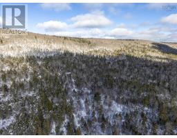 Lot Mckenzie Mountain Road, Port Royal, NS B0S1A0 Photo 6