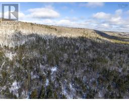 Lot Mckenzie Mountain Road, Port Royal, NS B0S1A0 Photo 14