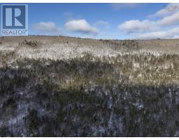 Lot Mckenzie Mountain Road, Port Royal, NS B0S1A0 Photo 11
