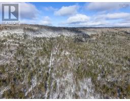 Lot Mckenzie Mountain Road, Port Royal, NS B0S1A0 Photo 18