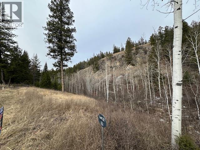Mountain View Drive Lot# 32 - Photo 2 of 12, Fairmont Hot Springs, British Columbia