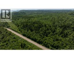 Lot 86-133 Fundy Drive, Campobello, NB E5E1C1 Photo 15