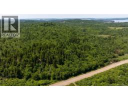 Lot 86-133 Fundy Drive, Campobello, NB E5E1C1 Photo 13