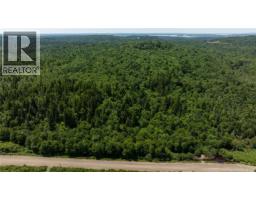 Lot 86-133 Fundy Drive, Campobello, NB E5E1C1 Photo 14