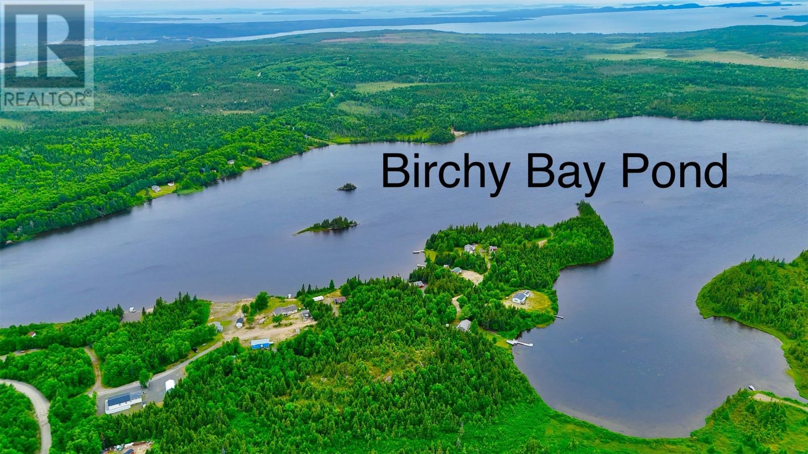 0 Birchy Bay Pond - 4
