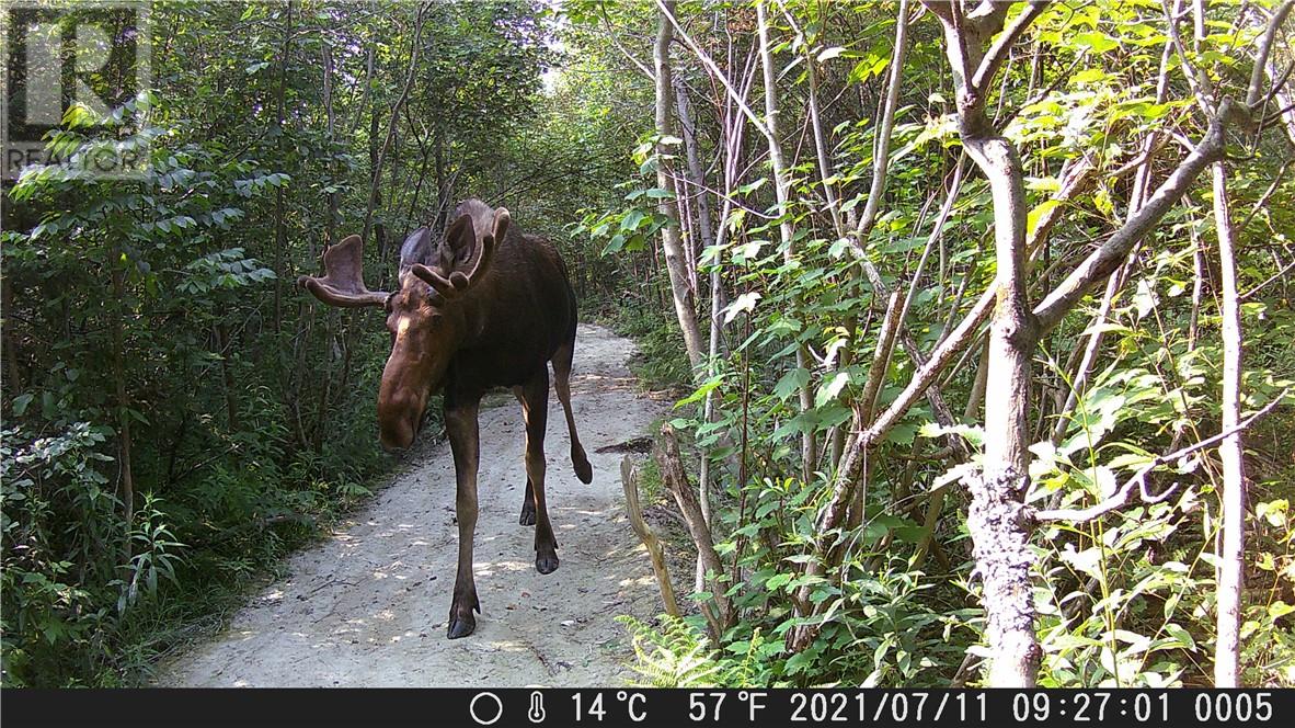 LOT 0 WHITEWATER - 43