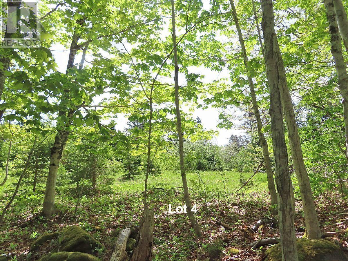 Property 25 of 37 of 3 Lots Gold Brook Road