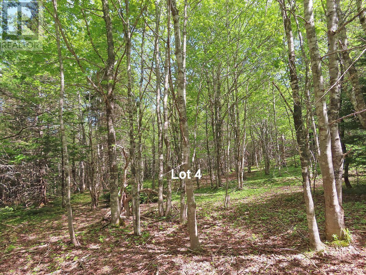 Property 29 of 37 of 3 Lots Gold Brook Road