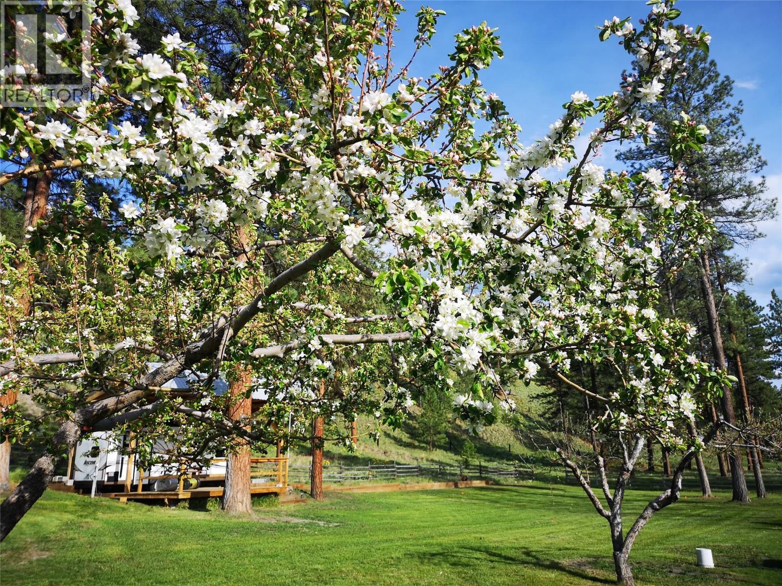 451 PRINCETON SUMMERLAND ROAD - 51