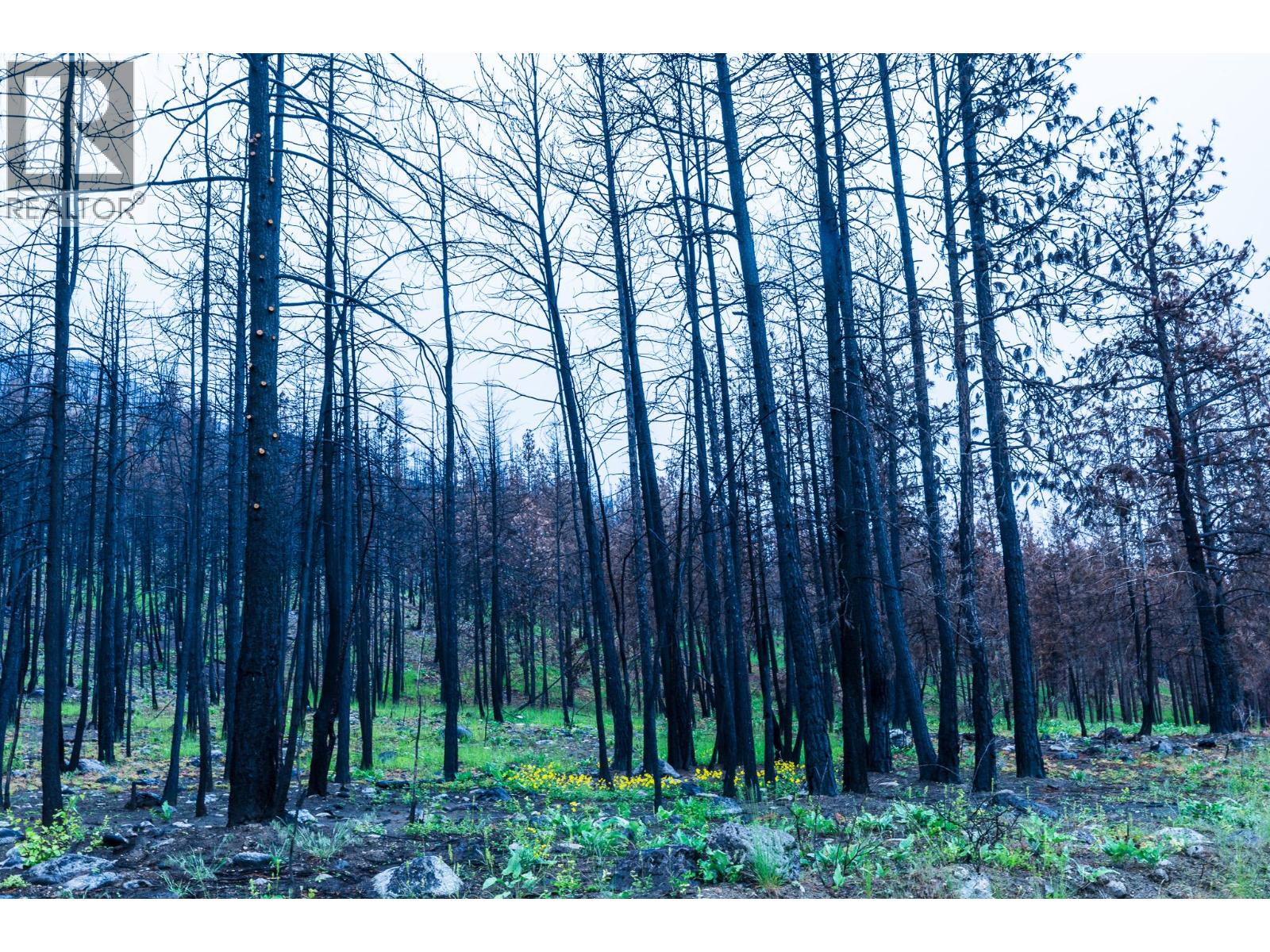  1135 Westside Road, West Kelowna