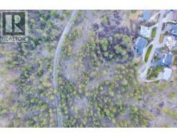 1135 Westside Road, West Kelowna, BC V1Z3S1 Photo 7