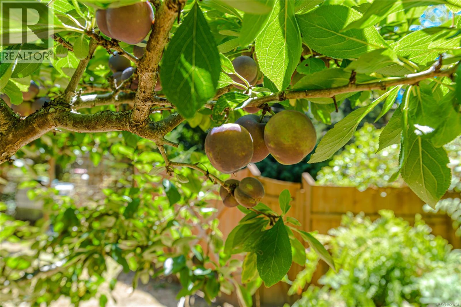 1252 Isabella Point Rd, Salt Spring