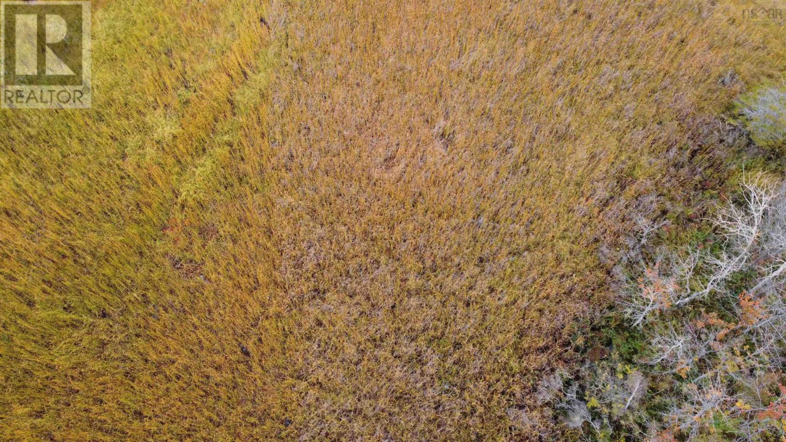 Property 6 of 12 of Lot 2 Malagash South Shore Road