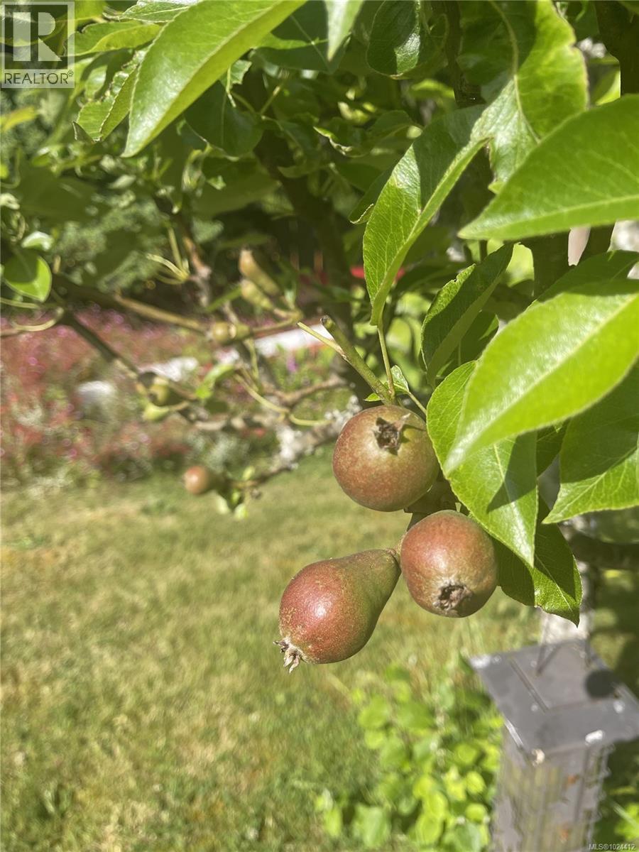 2440 Galland Rd, Shawnigan Lake