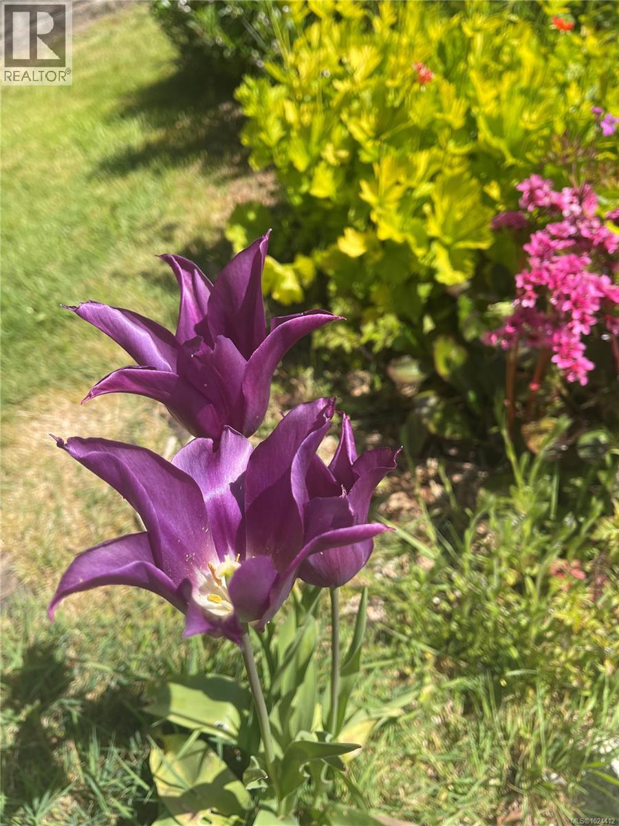 2440 Galland Rd, Shawnigan Lake