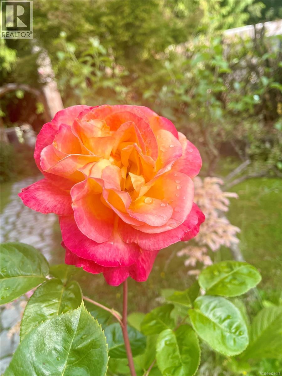 2440 Galland Rd, Shawnigan Lake