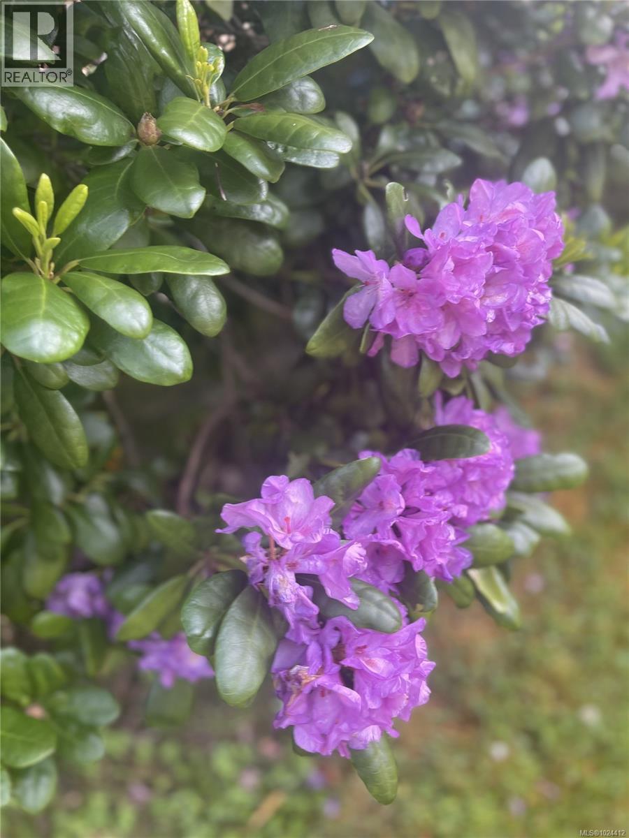 2440 Galland Rd, Shawnigan Lake