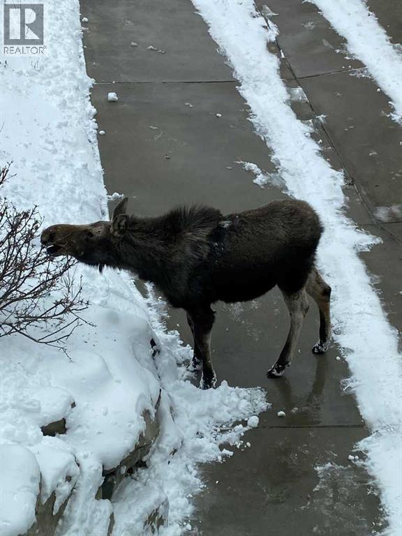 Single Family House for Sale in  Posthill Drive SW Springbank Hill Calgary 