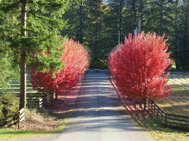 1400 MAPLE ROCK DRIVE, Columbia Valley, Columbia Valley