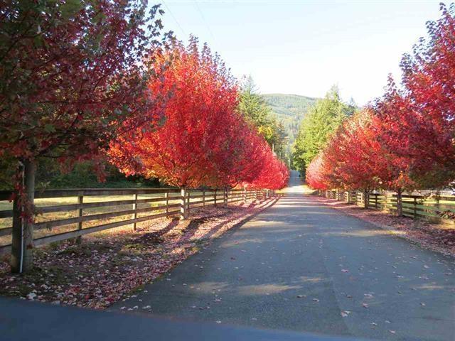 1400 MAPLE ROCK DRIVE, Columbia Valley, Columbia Valley