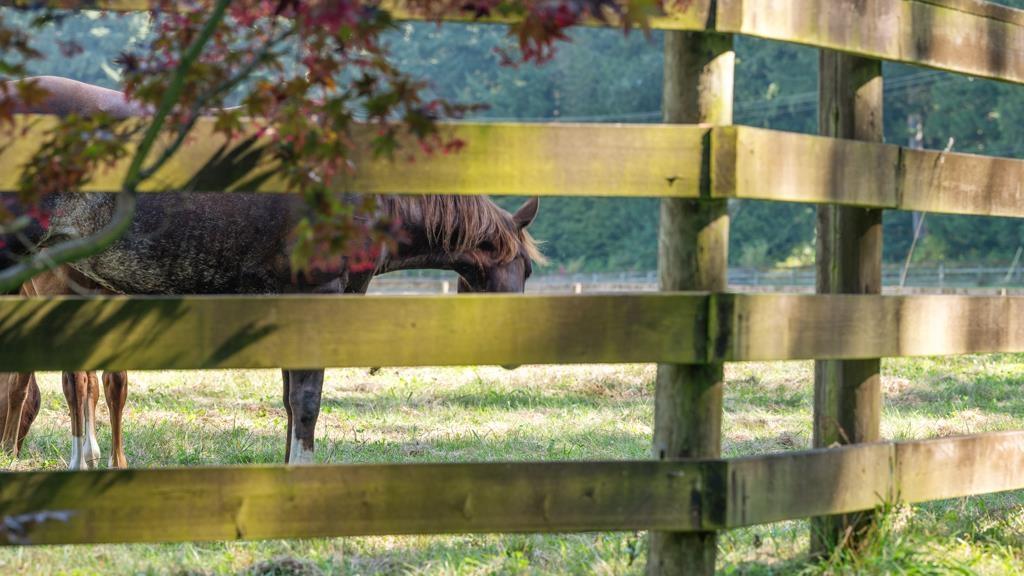 1400 MAPLE ROCK DRIVE, Columbia Valley, Columbia Valley