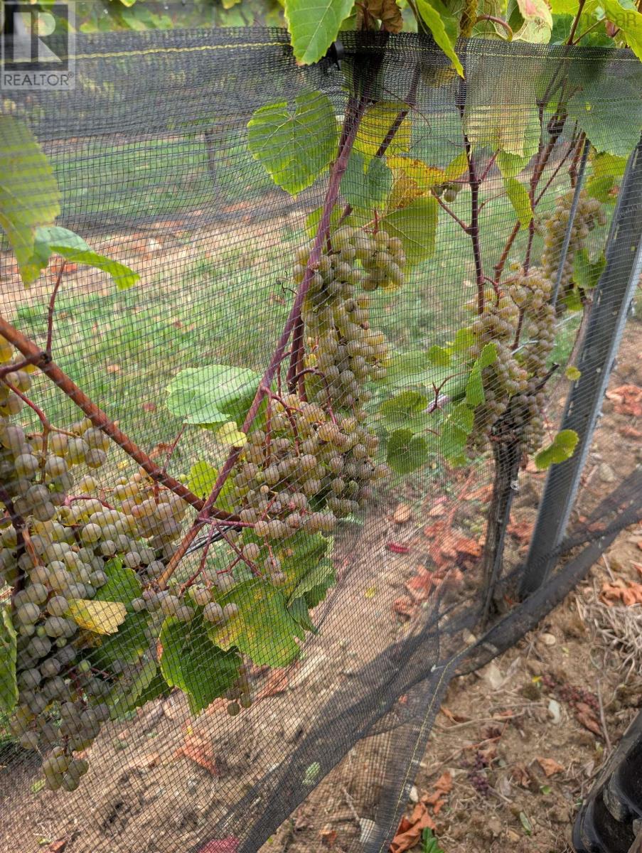 Property 17 of 37 of 4113 Highway 340