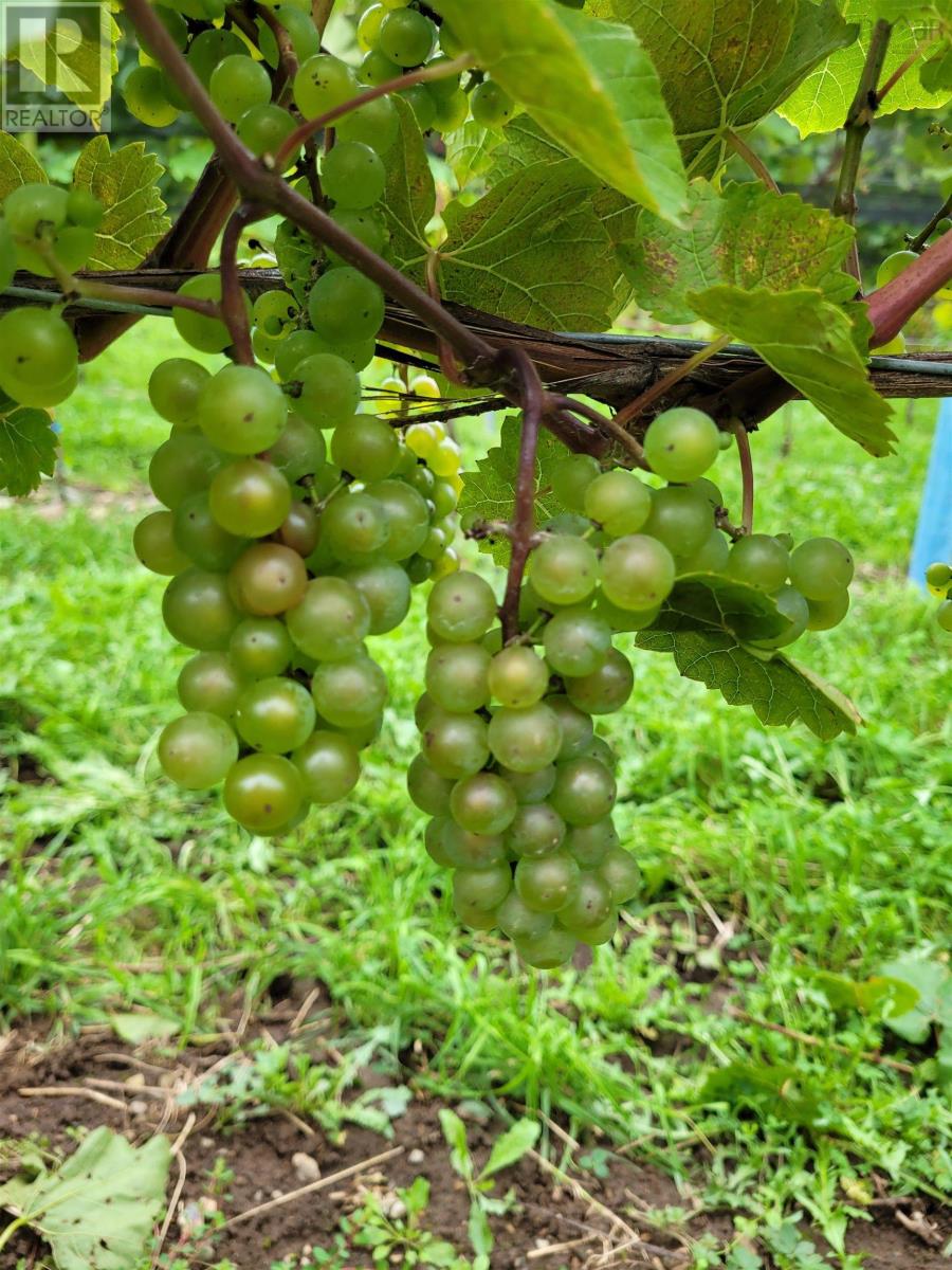 Property 28 of 37 of 4113 Highway 340