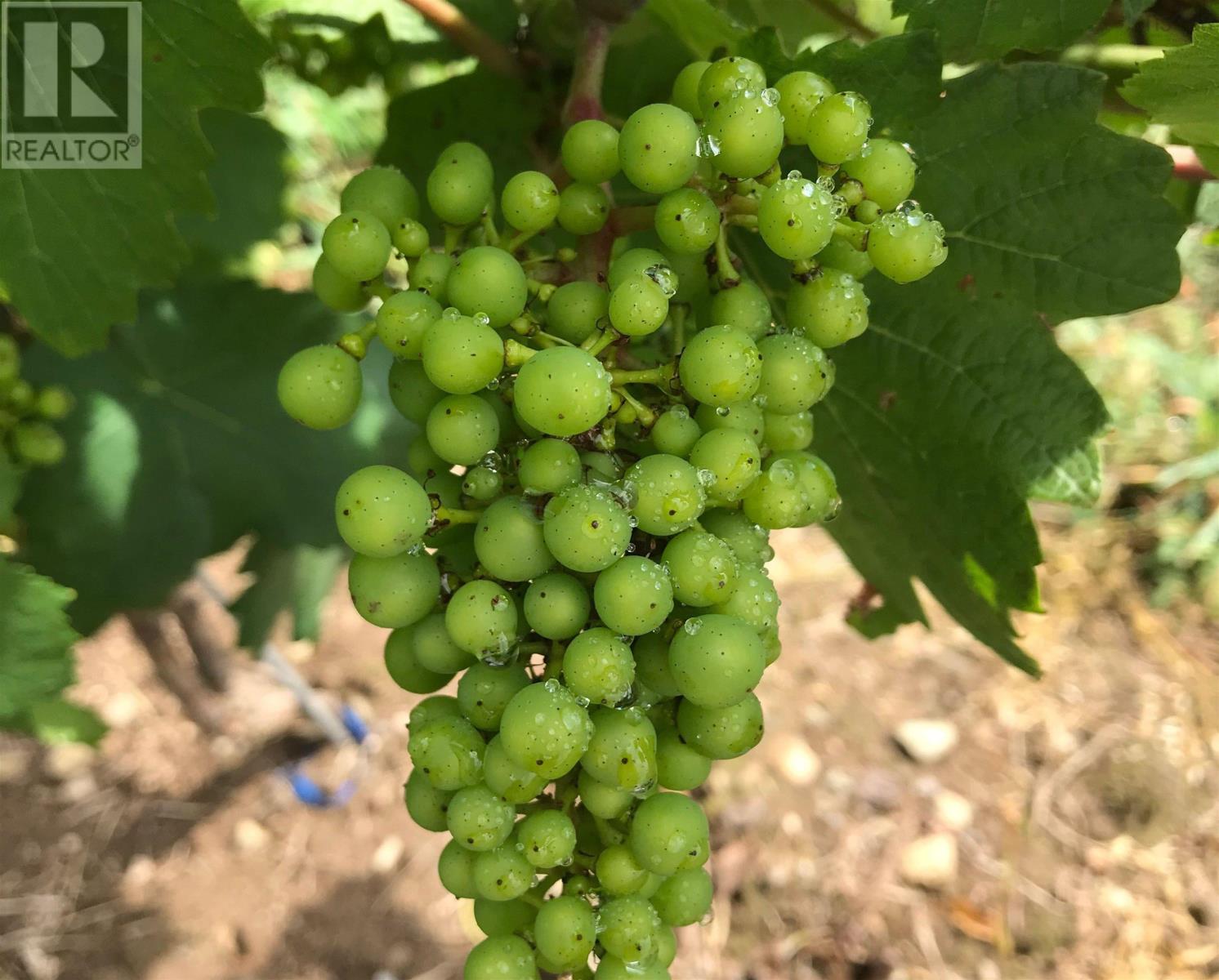 Property 3 of 37 of 4113 Highway 340