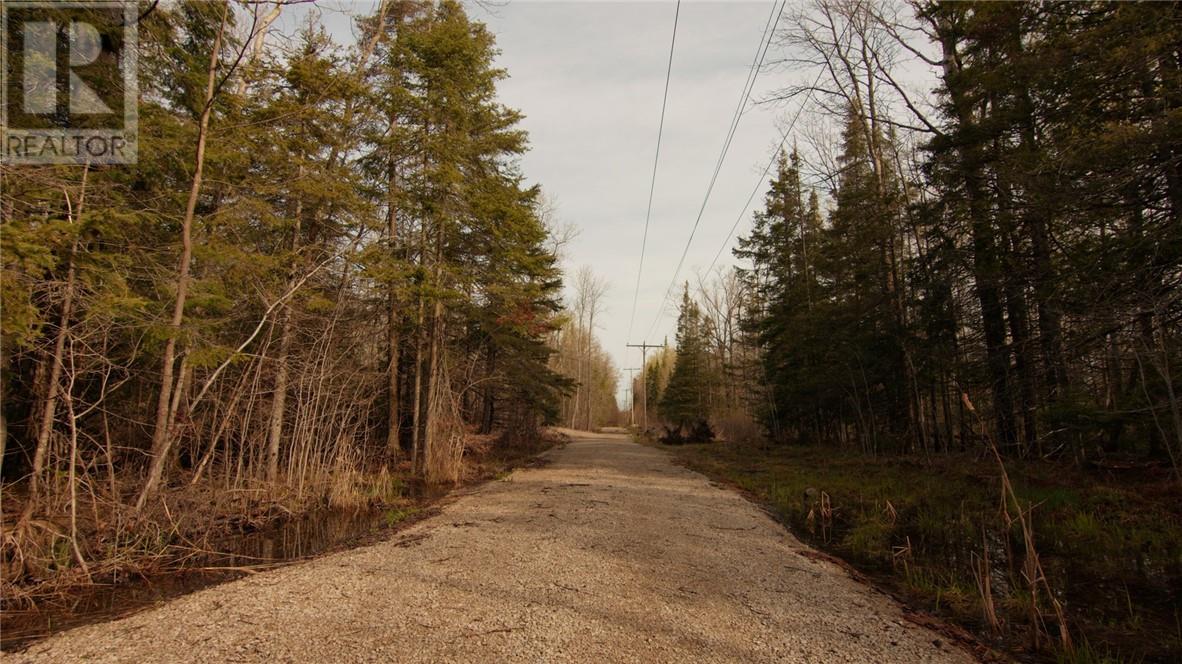 81 High Falls Road, Assiginack, Ontario, P0P1N0 — Photo 31