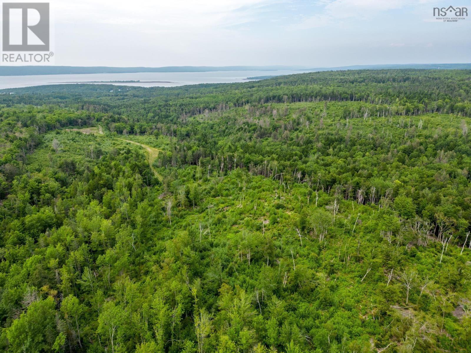 Property 3 of 6 of Lot 2 Back Road