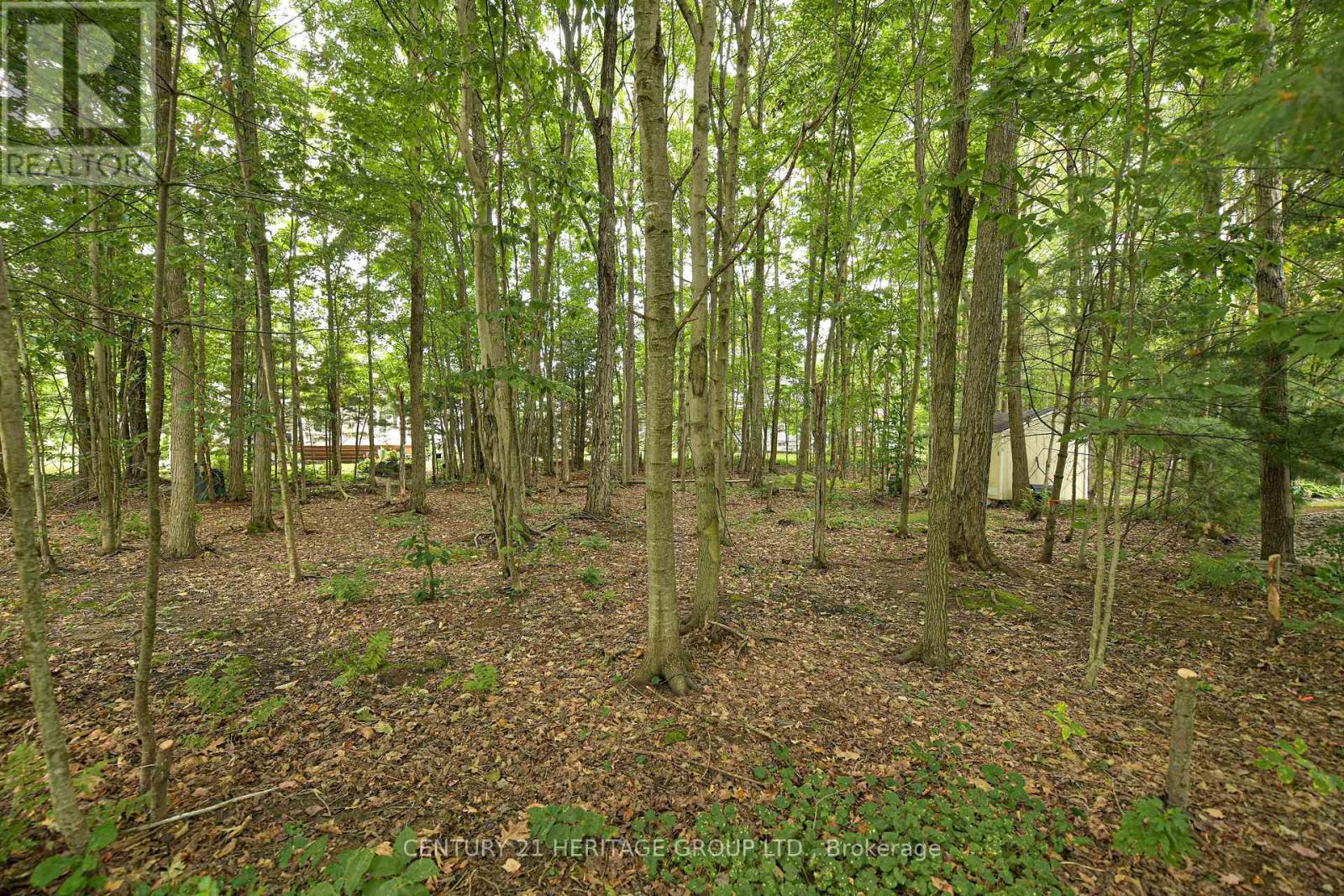 130 HEDGEWOOD LANE - 5