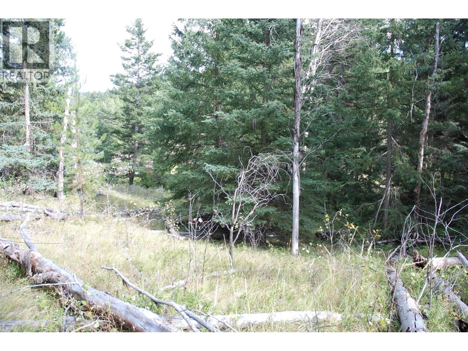 396 Wild Rose Drive, Merritt