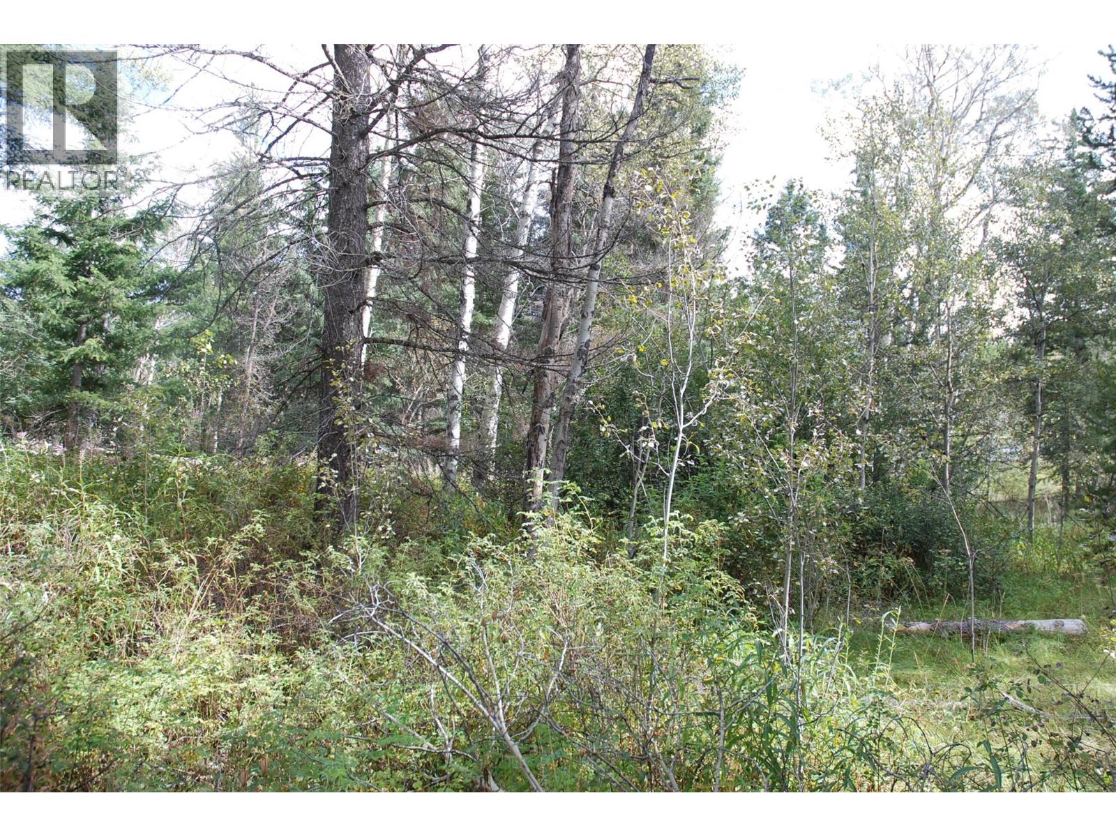 396 Wild Rose Drive, Merritt