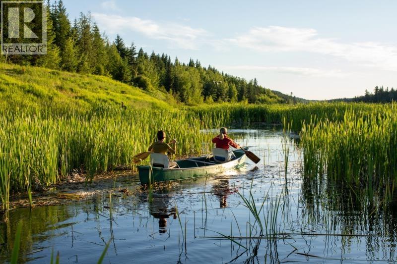 5957 THORSTEINSON ROAD - 19