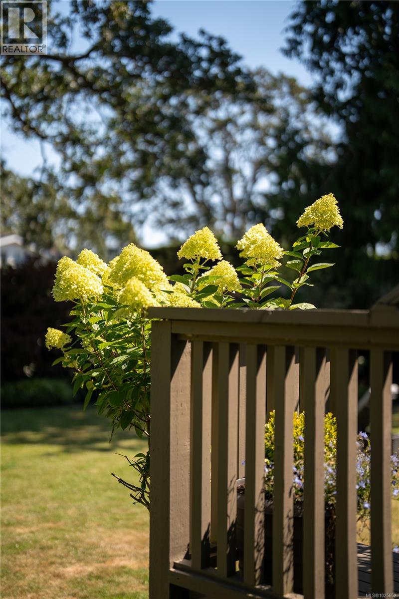  683 Mountjoy Avenue, Oak Bay