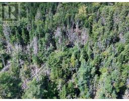 Old Louisbourg Road, New Boston Road, Albert Bridge, NS B1K2P7 Photo 6