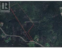 Old Louisbourg Road, New Boston Road, Albert Bridge, NS B1K2P7 Photo 7