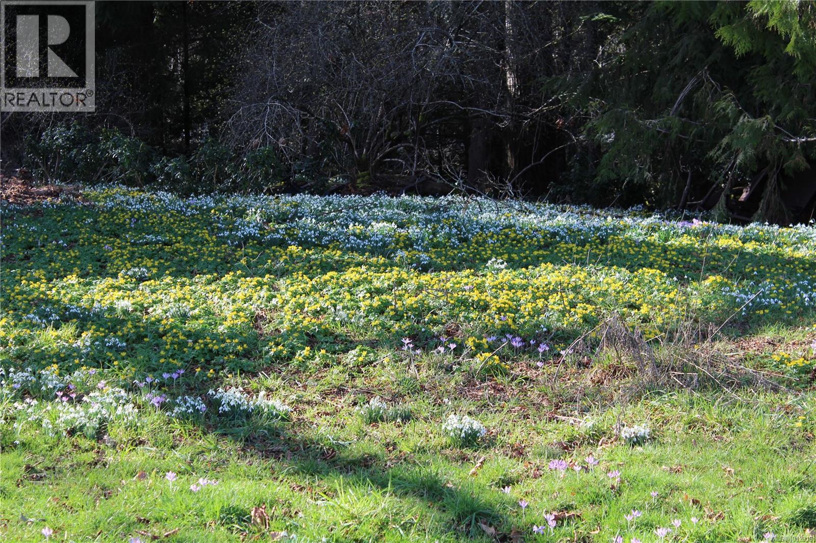 7028 WESTHOLME RD - 69