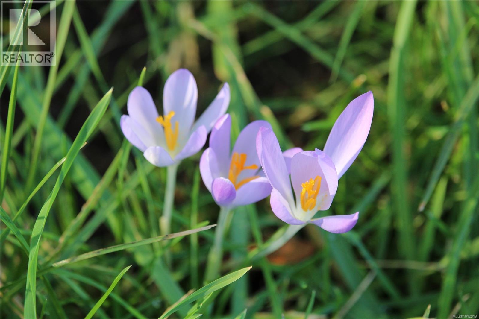 7028 WESTHOLME RD - 72