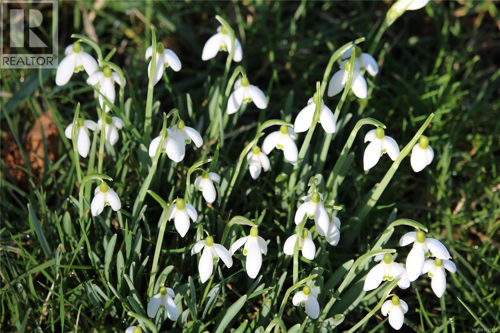 7028 WESTHOLME RD - 76