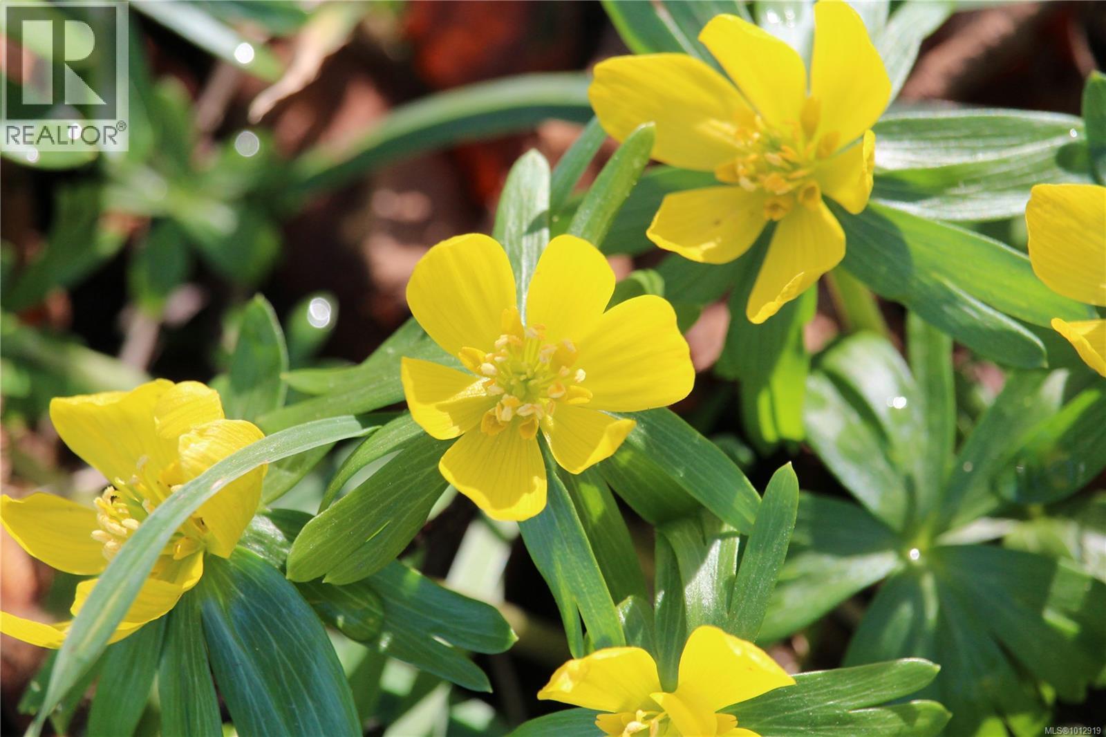 7028 WESTHOLME RD - 77