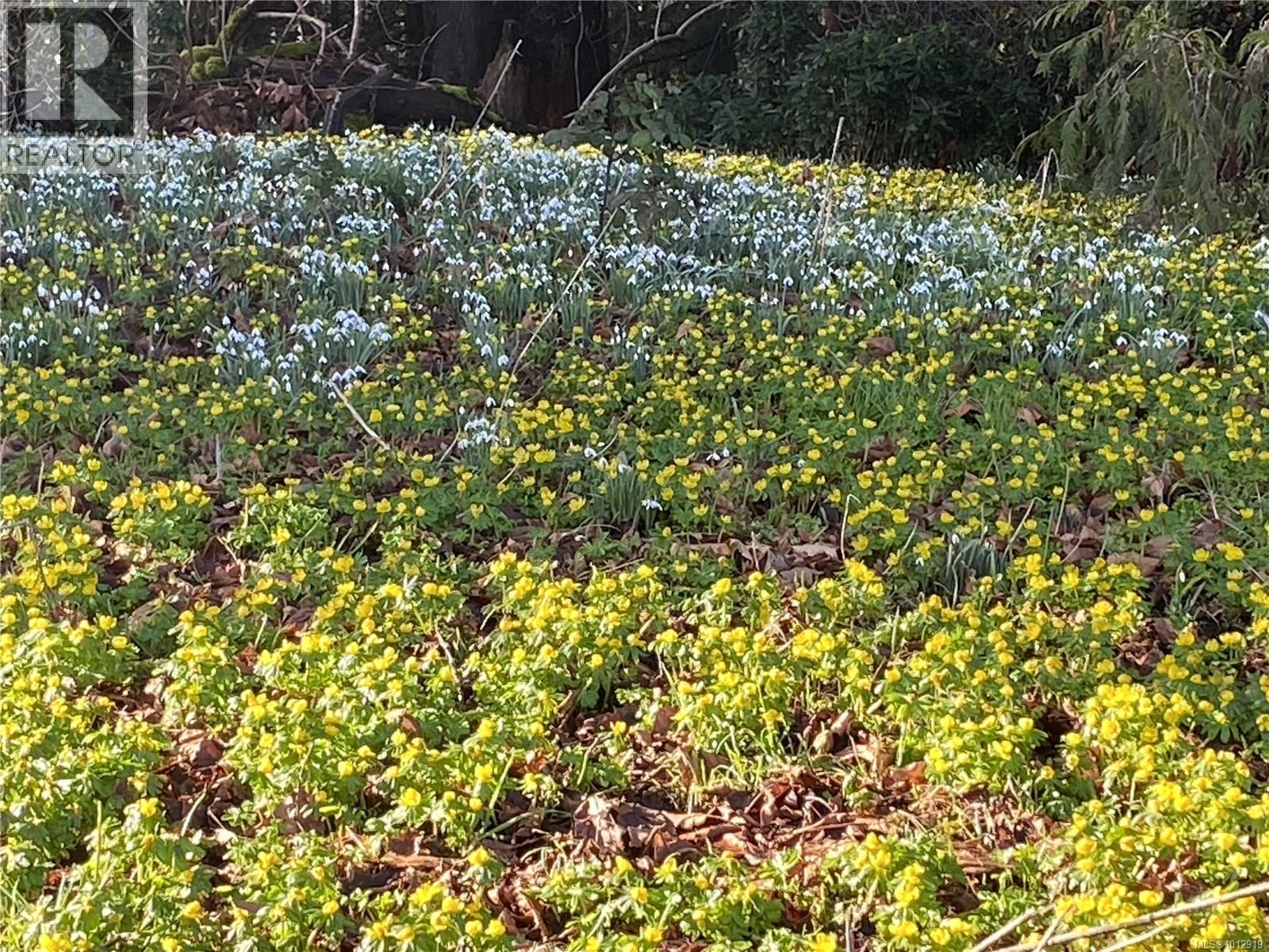 7028 WESTHOLME RD - 78