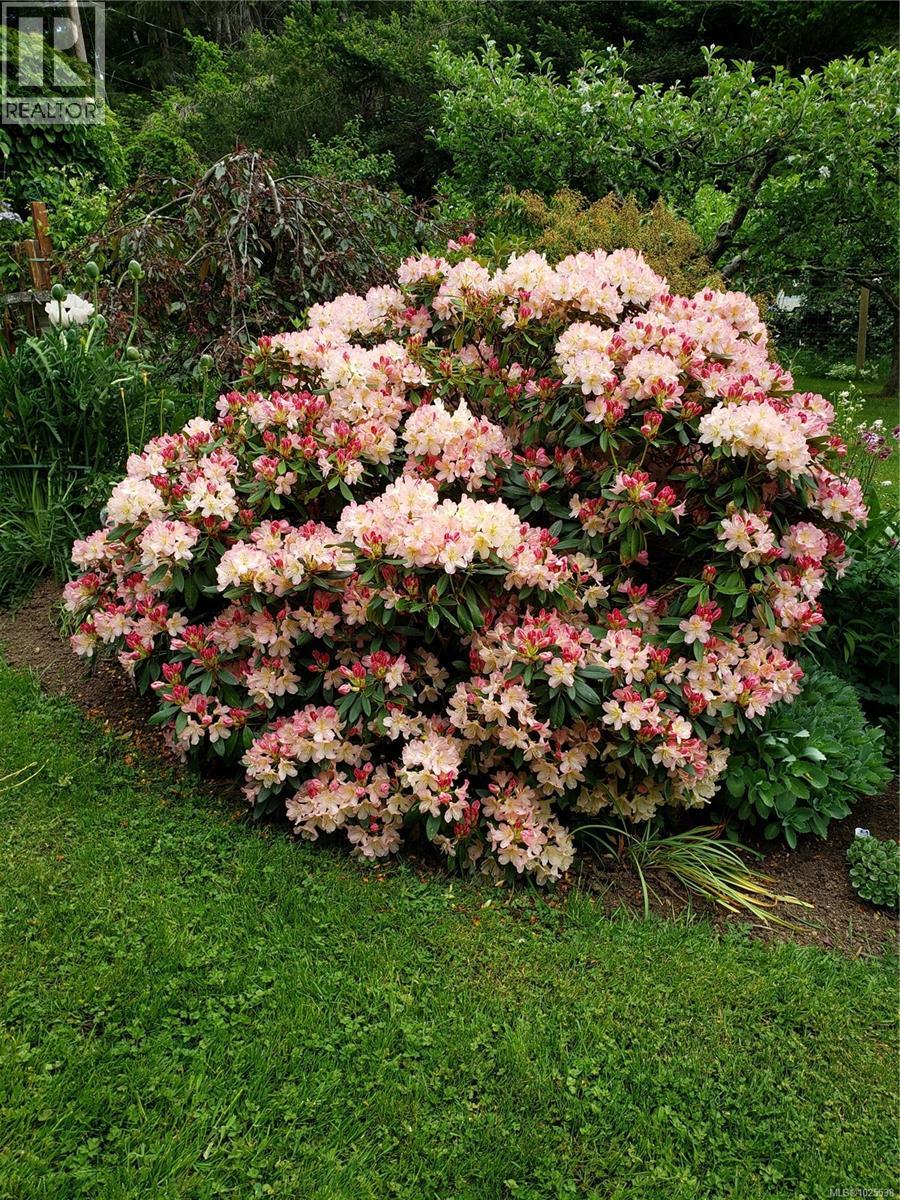 698 Plaza Rd, Quadra Island