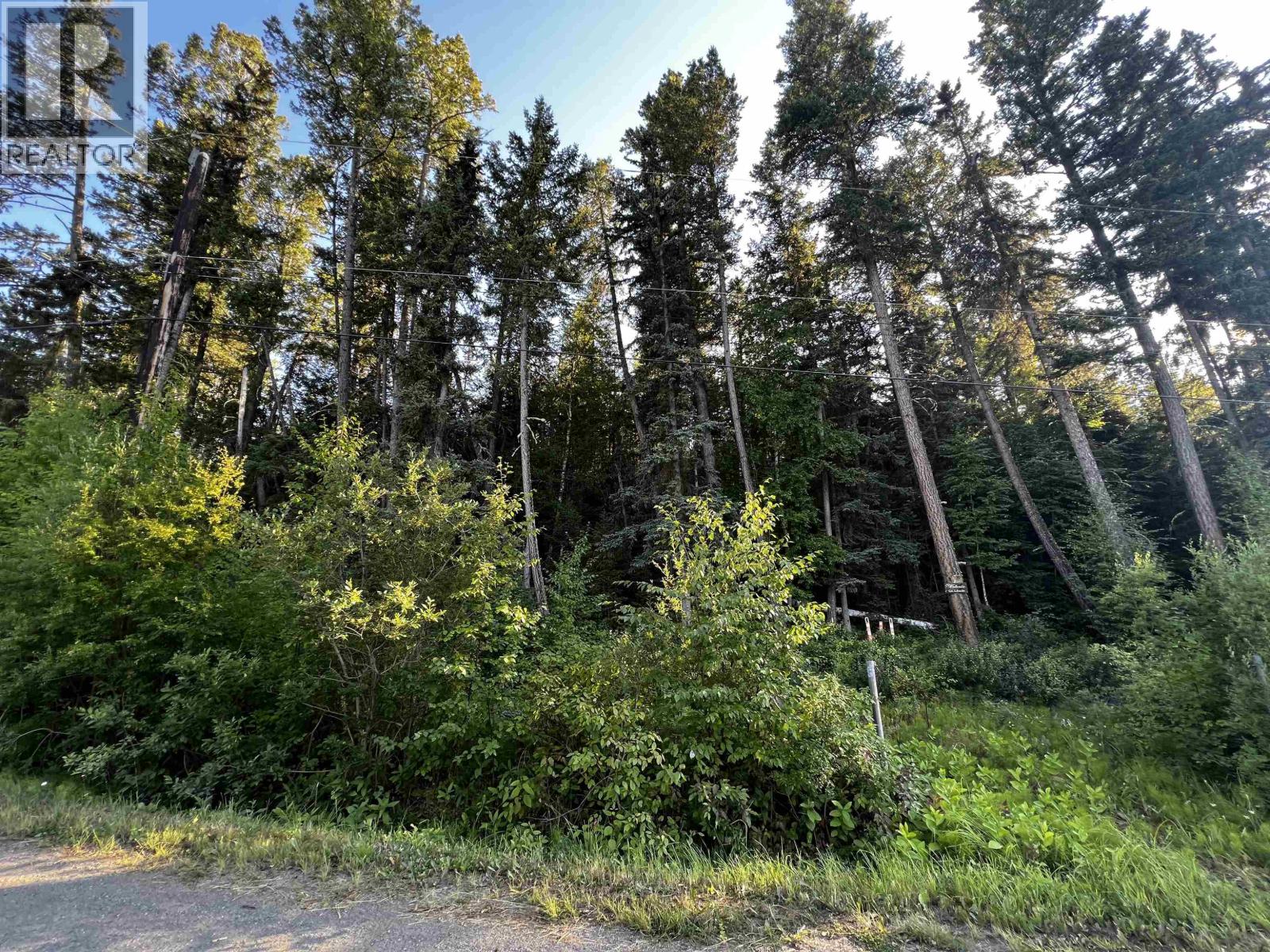 LOT 30 CAVERLY ROAD - Photo 4 of 12, Lac La Hache, British Columbia