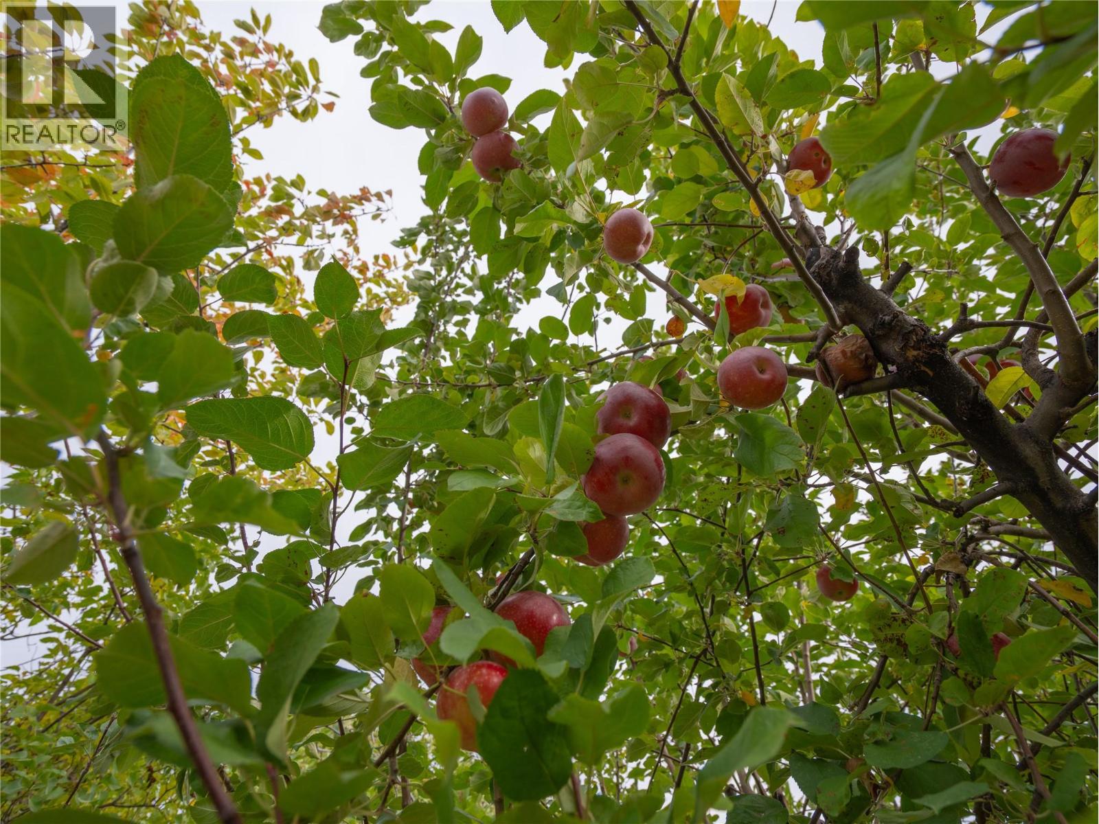 190 DAFOE Place, Penticton