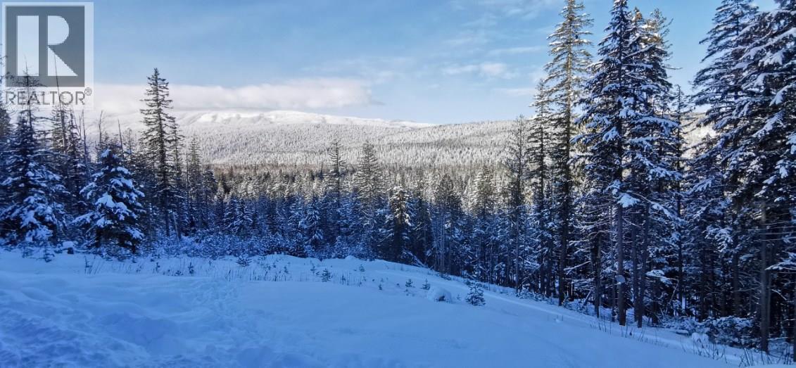 1446 Nittel Road, Seymour Arm