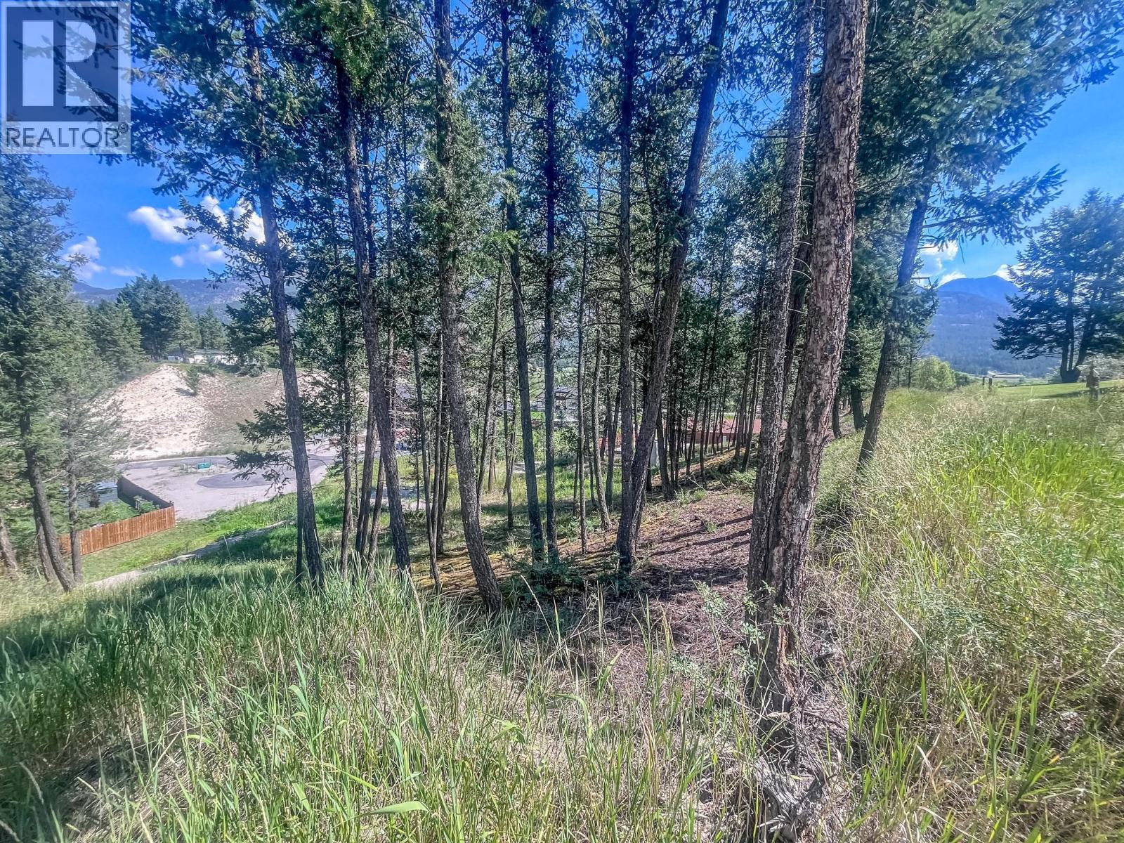 1049 Swansea Road, Invermere
