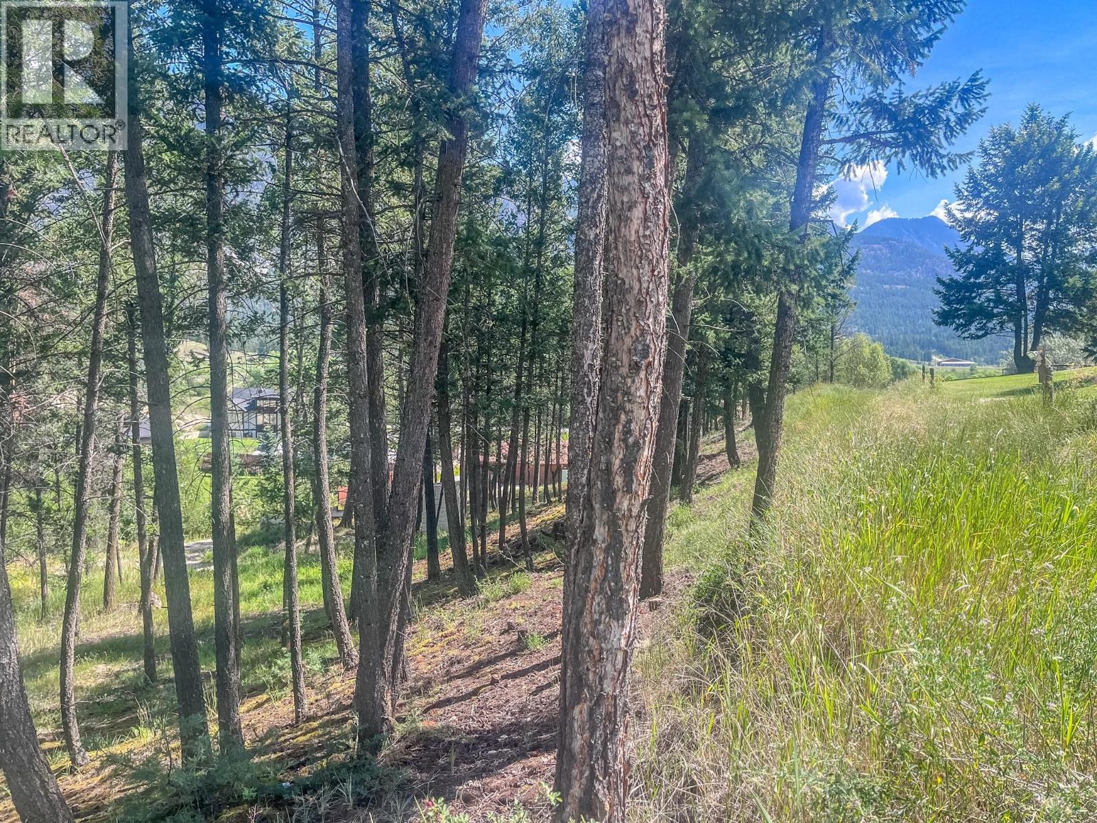 1049 Swansea Road, Invermere