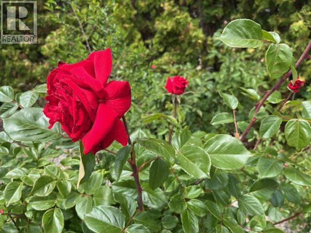 4008 LOBELIA Drive, Osoyoos