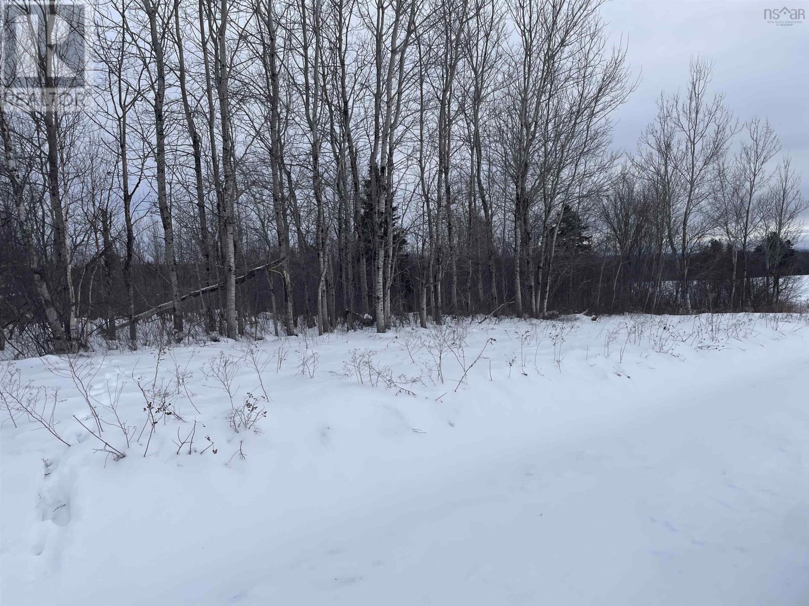 Property photo of Highway 204